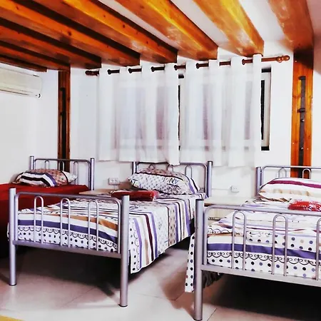 Auberge de jeunesse Tufina Tirana